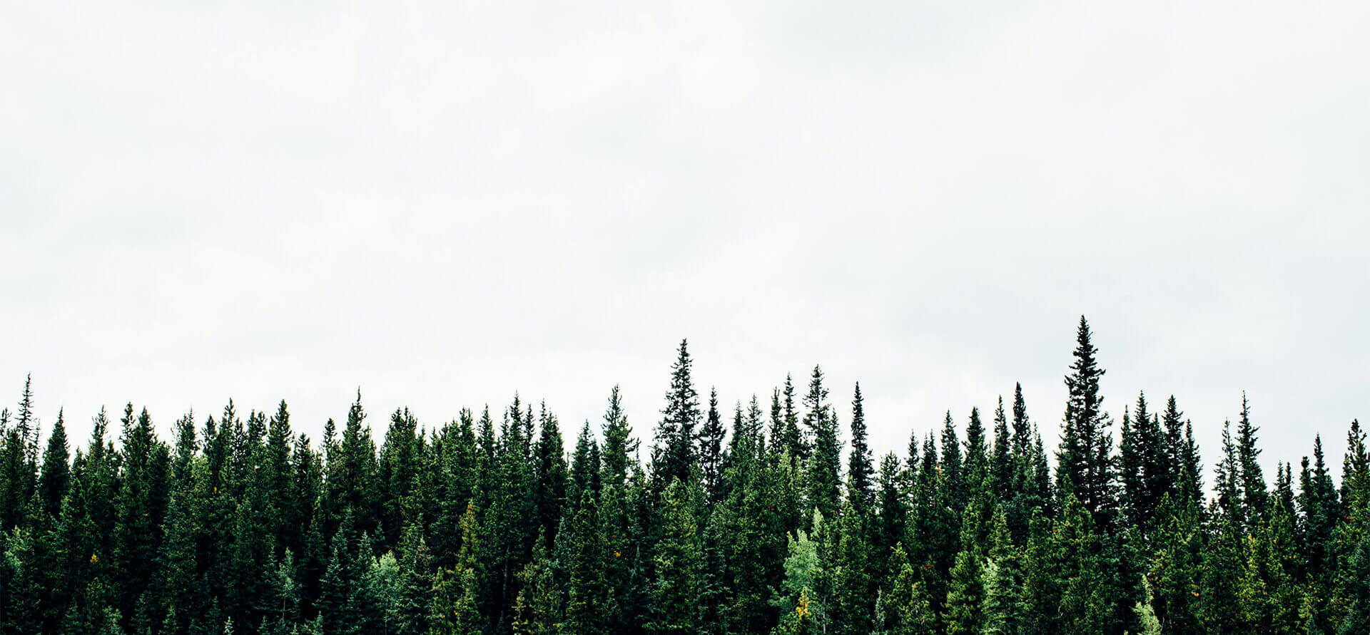 TVT体育关注的话题